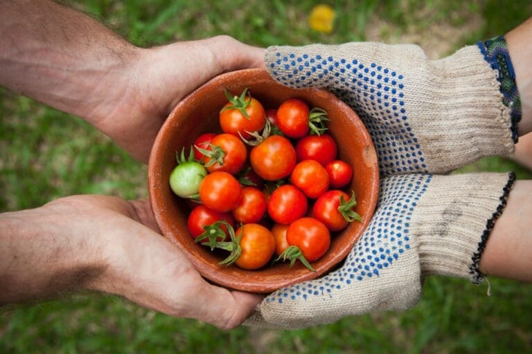 Socializing with others, sharing common interests and being outside is beneficial to stay healthy