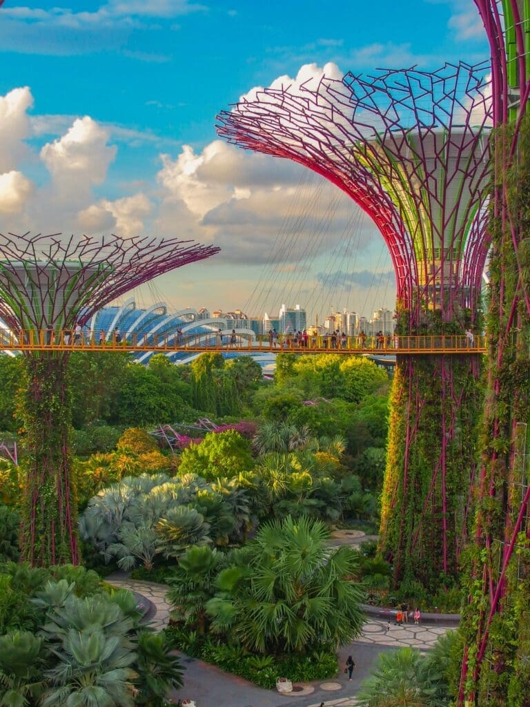 Singapore's Gardens by the Bay park with skywalks between purple-green Supertrees