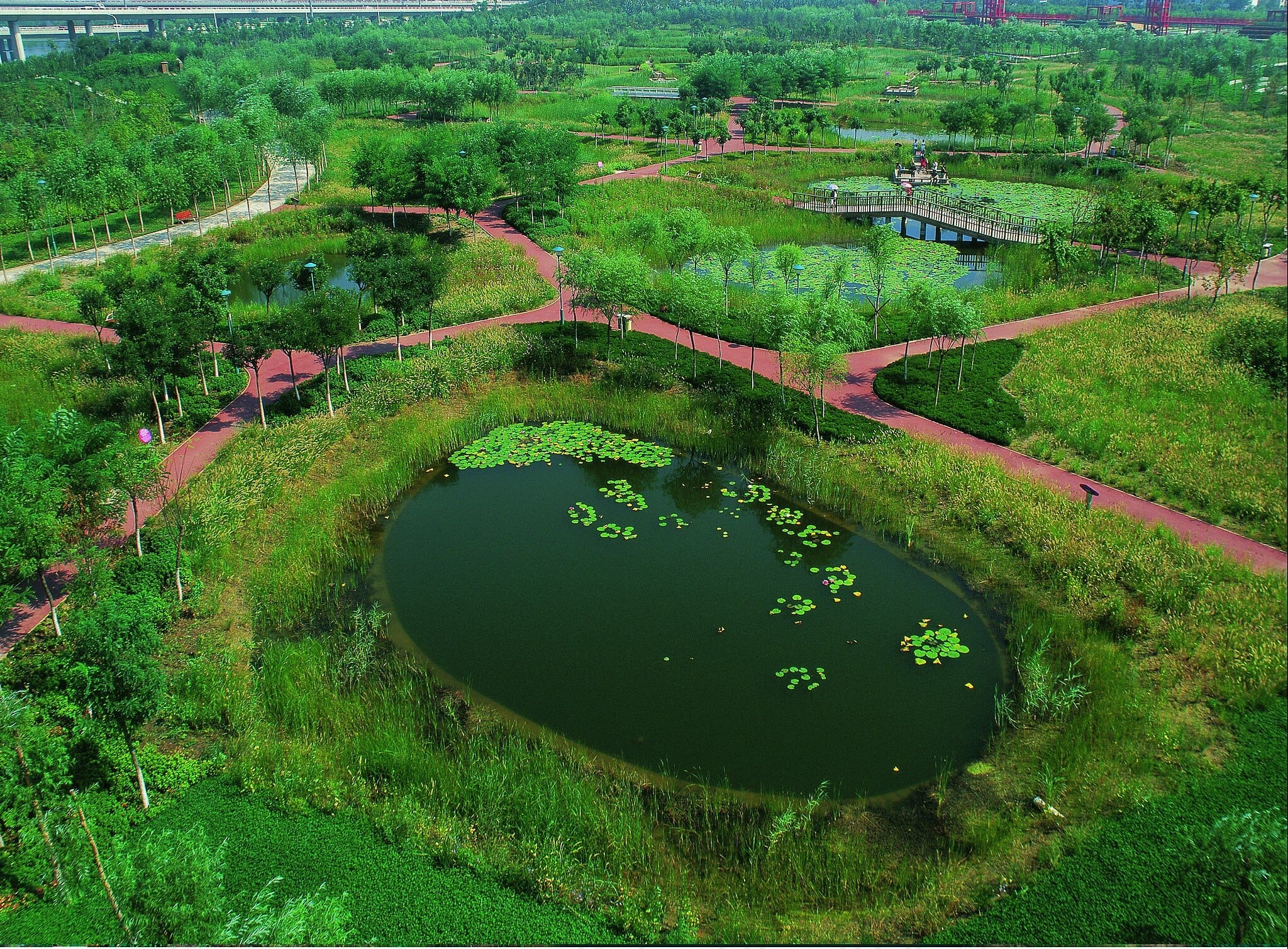 Der Tianjin Wetland Park ist heute ein wunderschönes Labyrinth aus Wasserteichen, Wegen, kleinen Brücken und Grünflächen