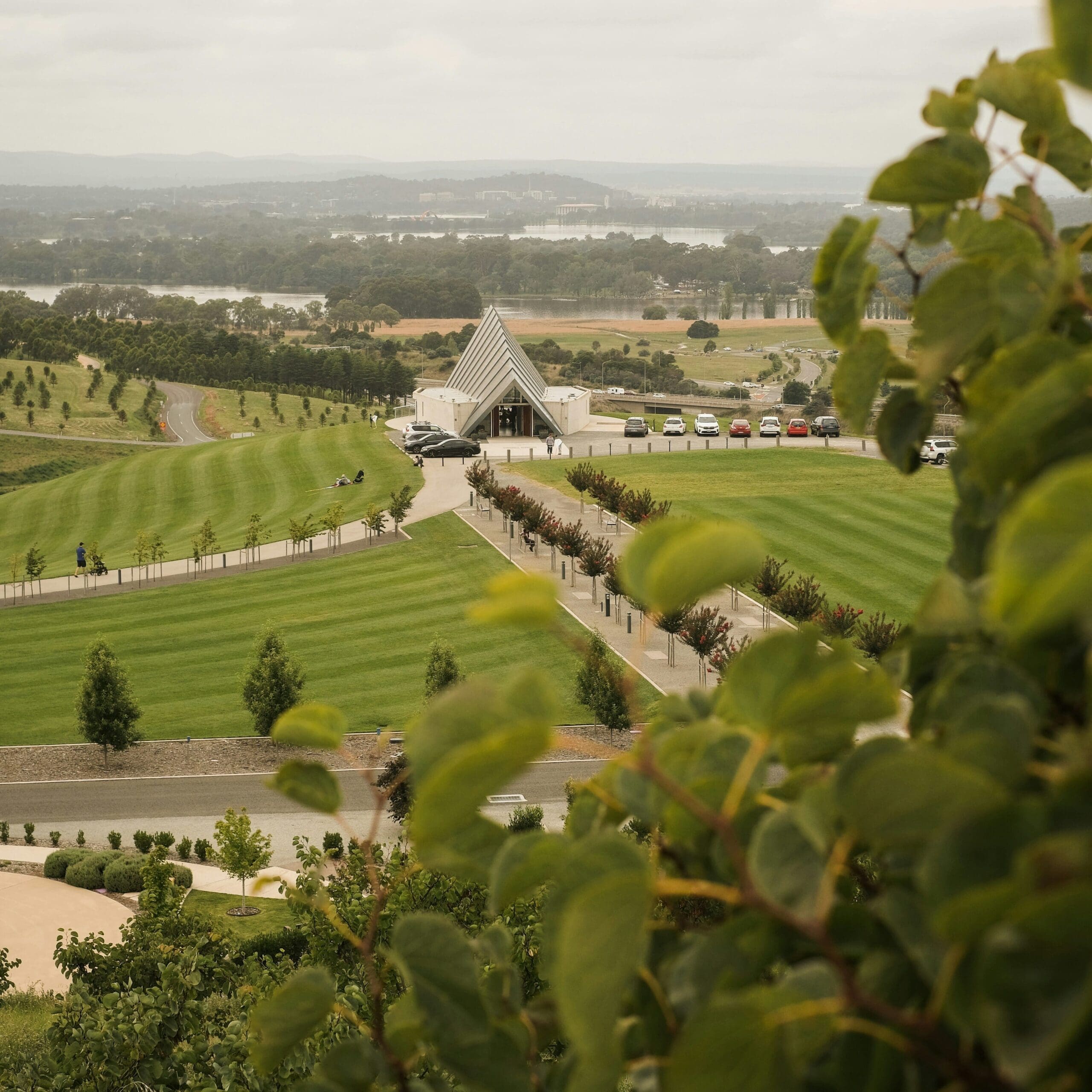 Canberra achieved 100% electricity coverage from renewables; photo shows National Arboretum Canberra