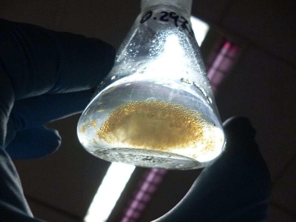 Biodiesel auf Basis von Enzymen, in einem Erlenmeyerkolben