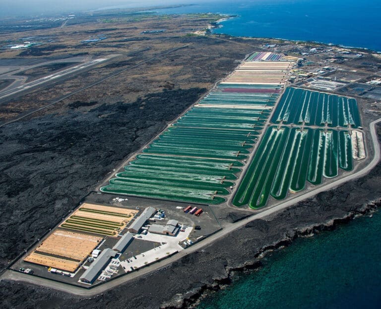 Microalgae cultivation plant on Hawaii