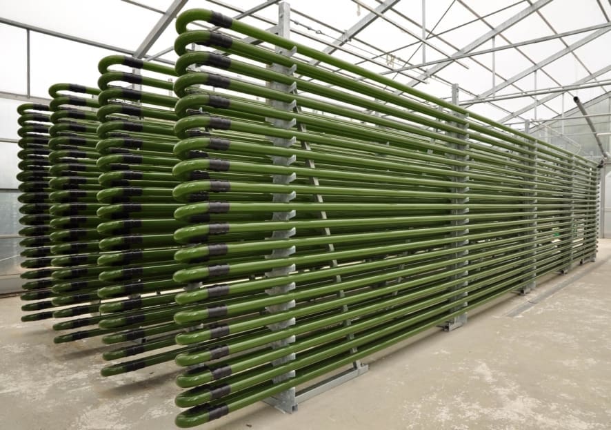 Das Bild zeigt einen röhrenförmigen Glas-Photobioreaktor für die Kultivierung von Mikroalgen und anderen photosynthetischen Organismen; er hat ein Betriebsvolumen von 4000 Litern